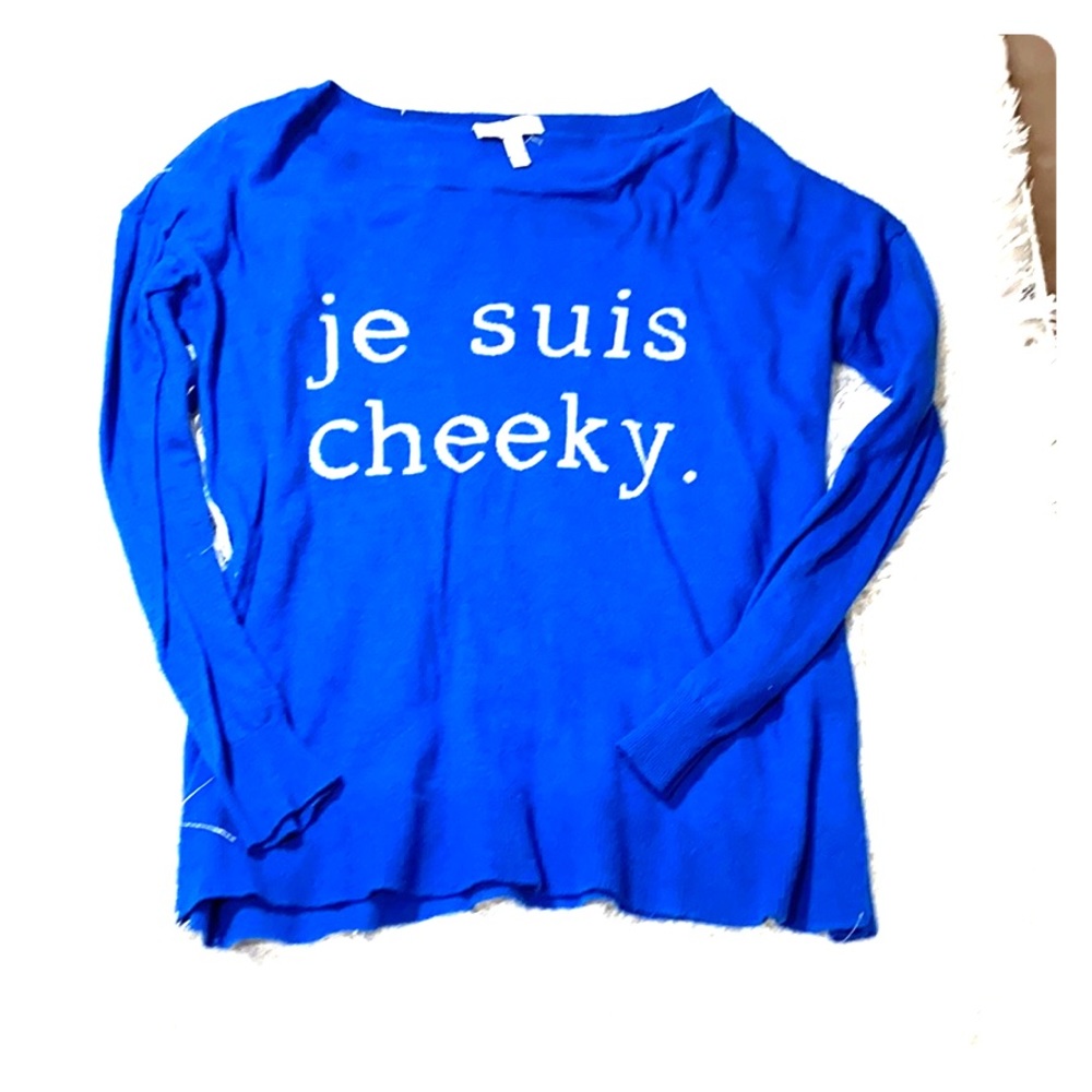 Joie Blue Pullover Sweater Top “je suis cheeky”